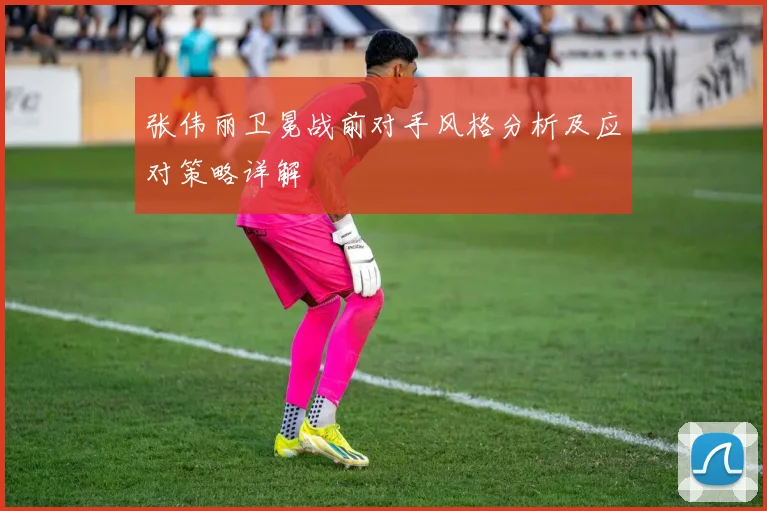 张伟丽卫冕战前对手风格分析及应对策略详解